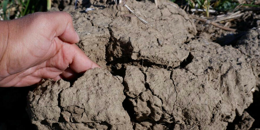 Kuraklık raporu korkuttu: Toprak taşa döndü, çiftçi ekim yapamıyor