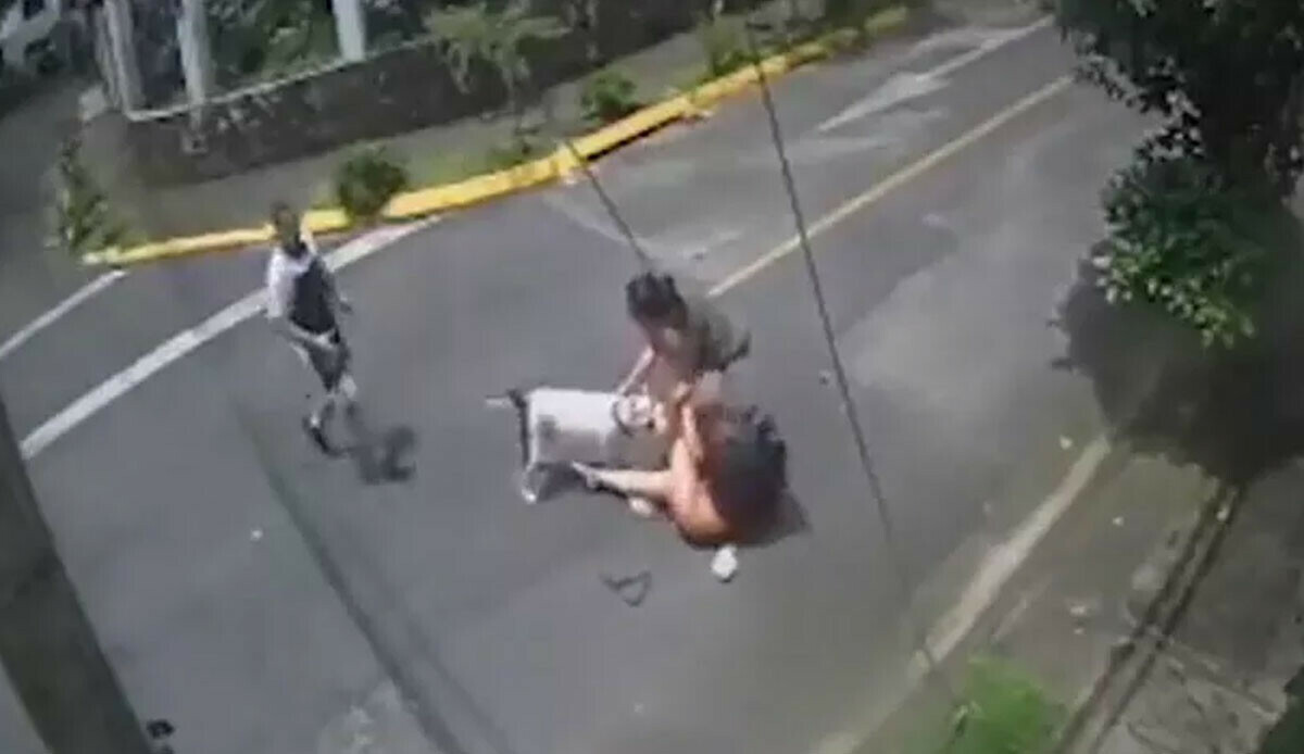 Pitbull saldırısının çok konuşulan kahramanı! Köpeğin nefesini kesti, kadını kurtardı: İşte o hayat kurtaran taktik Pitbull saldırısının çok konuşulan kahramanı! Köpeğin nefesini kesti, kadını kurtardı: İşte o hayat kurtaran taktik