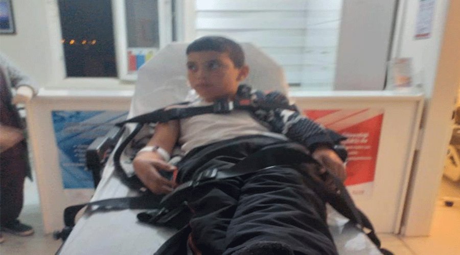 Başıboş köpekler Bitlis'te dehşet saçtı: İki çocuk kuduz oldu, birinin durumu ağır