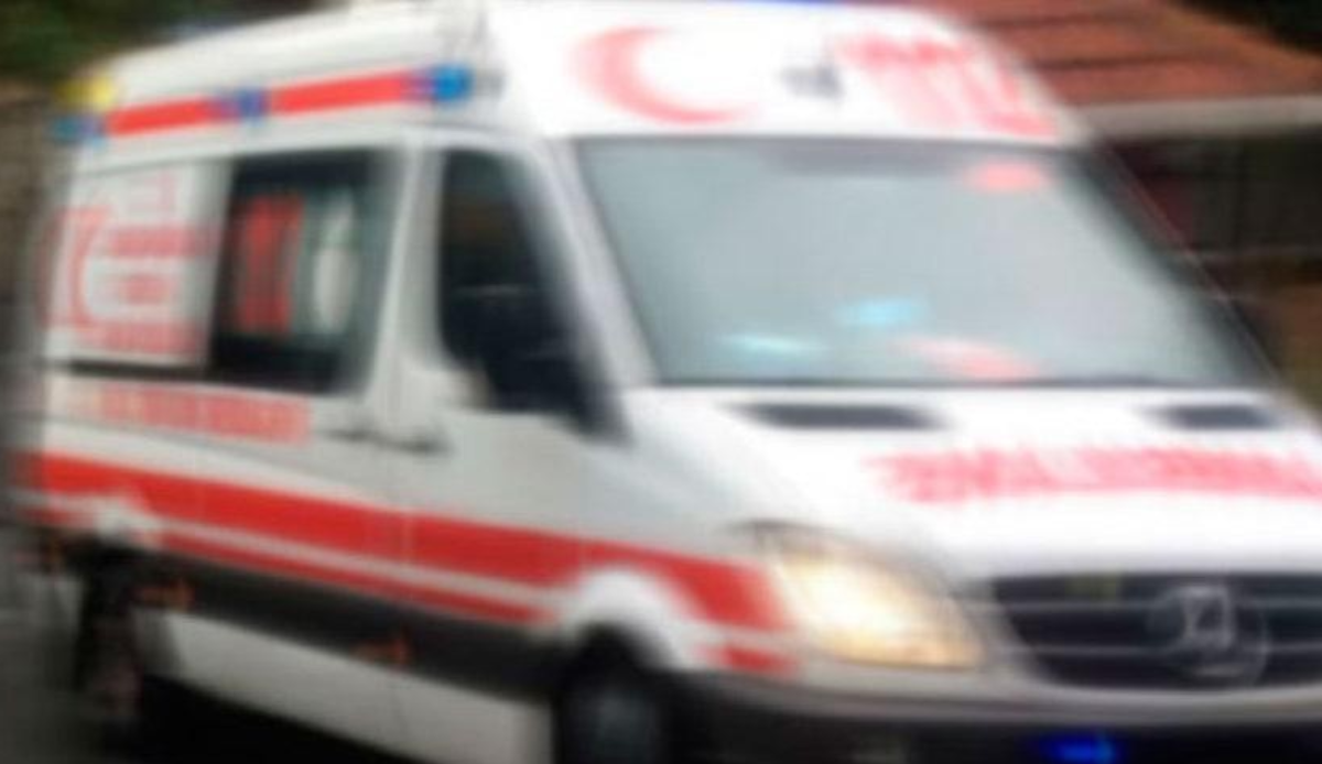 Ormanda feci son: Eşinin kestiği dalın altında kaldı Ormanda feci son: Eşinin kestiği dalın altında kaldı