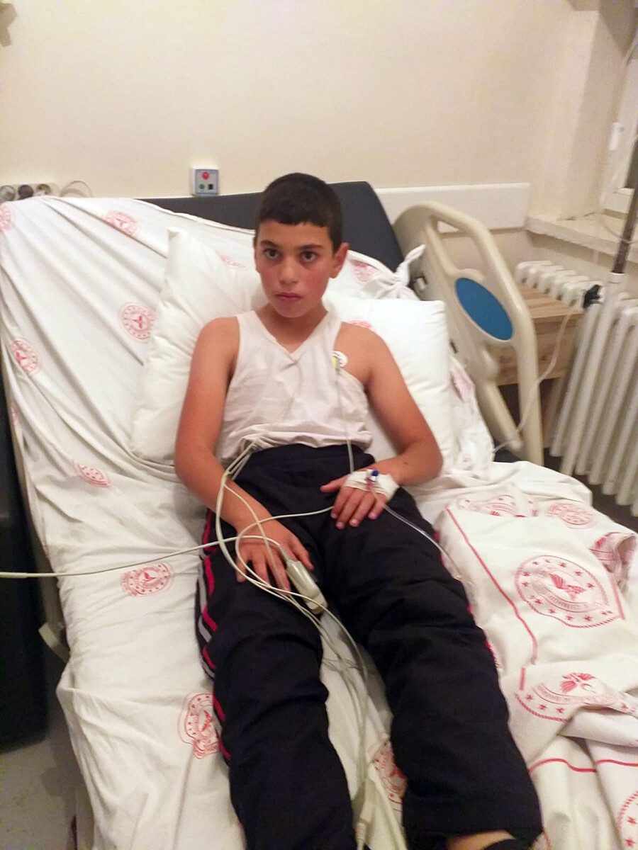 Bitlis'te kuduz paniği! 95 vaka daha belirlendi Bitlis'te kuduz paniği! 95 vaka daha belirlendi