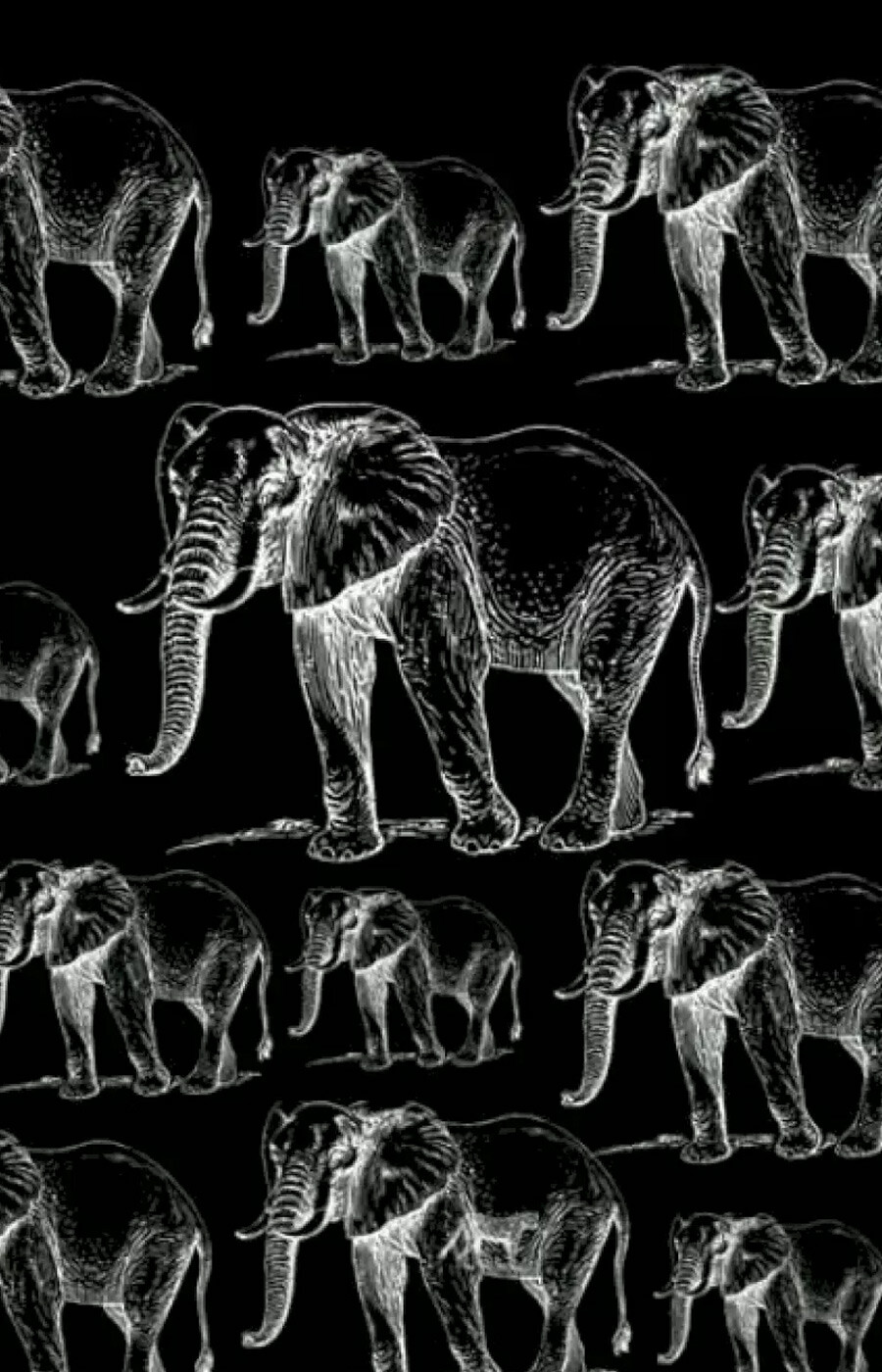 IQ seviyesini ölçen optik illüzyon testi: Fillerin arasında gizli bir kaplan var… Görenlerin zekası normalin çok üstünde