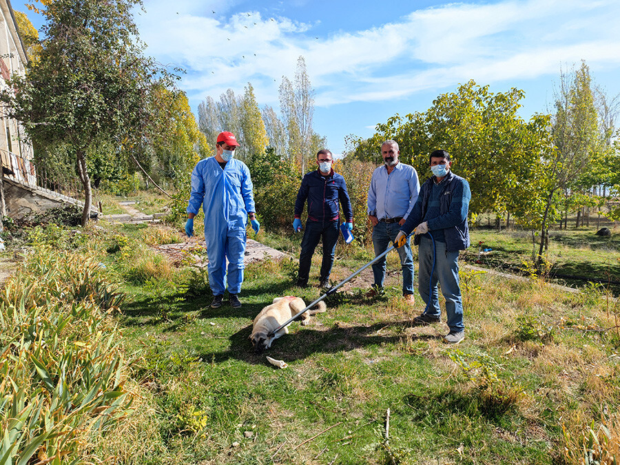 Bitlis'te kuduz paniği: Sokağa çıkamıyoruz