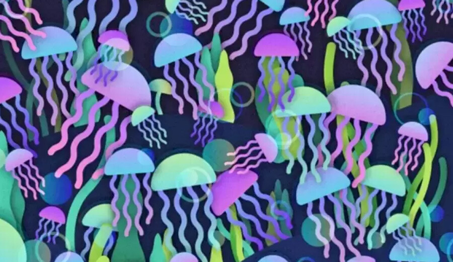 Denizanaları arasındaki gizli mantarı 16 saniyede bulabilir misiniz? Cevabı çok basit