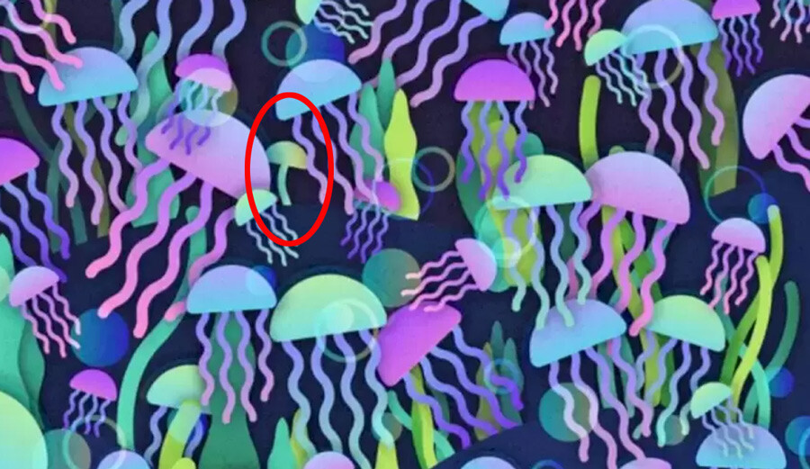 Denizanaları arasındaki gizli mantarı 16 saniyede bulabilir misiniz? Cevabı çok basit