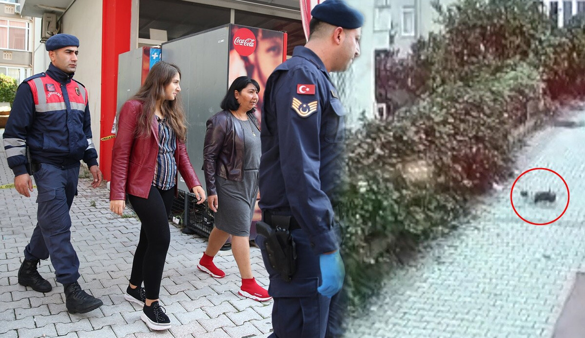 Alanya'da sarsıcı olay: Yeni doğan bebeğini poşetin içinde 5. kattan aşağı attı Alanya'da sarsıcı olay: Yeni doğan bebeğini poşetin içinde 5. kattan aşağı attı