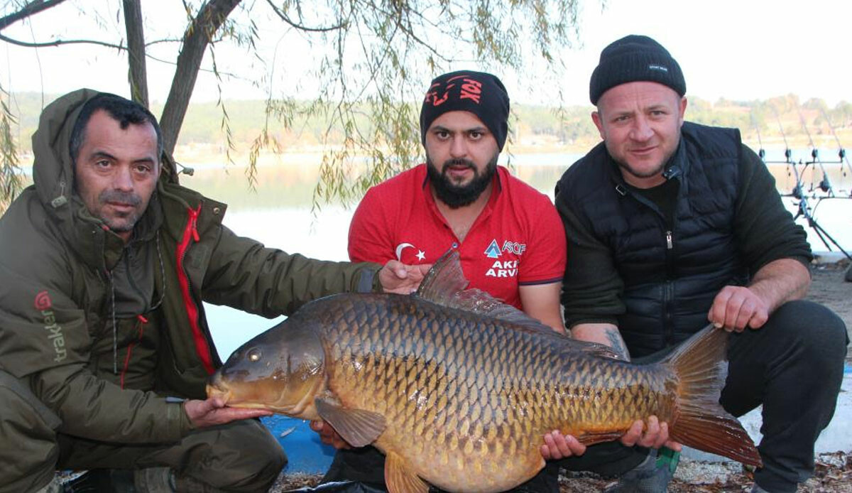 Görenleri hayretler içinde kaldı! Türkiye'nin en büyüğü Bilecik'te yakalandı, 3 kişi zor taşıdı