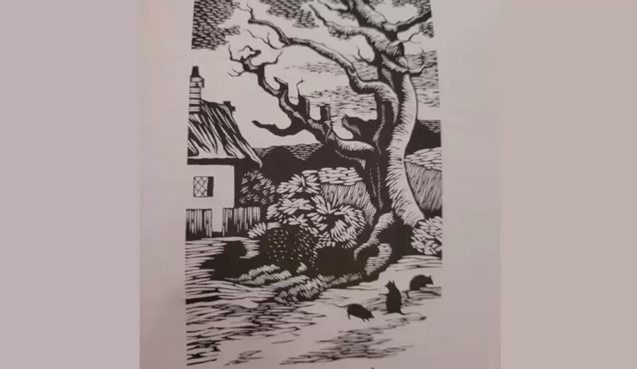 Optik resimdeki kediyi neredeyse kimse bulamıyor… Yalnızca IQ’su yüksek insanlar cevabı anında yapıştırıyor