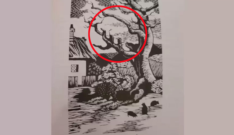 Optik resimdeki kediyi neredeyse kimse bulamıyor… Yalnızca IQ’su yüksek insanlar cevabı anında yapıştırıyor