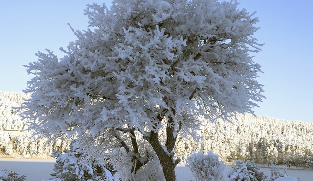 Türkiye'nin en soğuk ili belli oldu! Meteoroloji Genel Müdürlüğü açıkladı: Eksi 9,7 derece ile Bolu en soğuk il