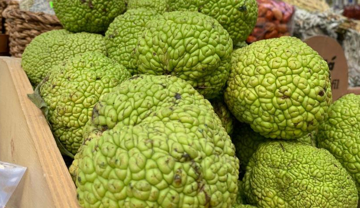 İlaçları unutun, merhem kıvamına getirip kullanın! Tanesi 5 lira… Ağrıları şıp diye kesiyor