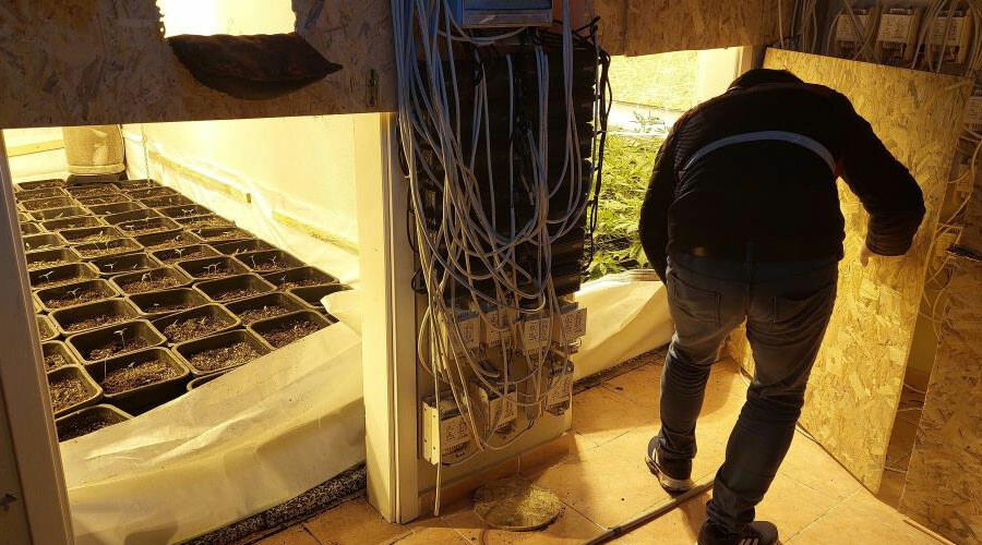 Kiralık villada kenevir yetiştiriciliği! Gizli odalar polisi bile şaşırttı… Kiralık villada kenevir yetiştiriciliği! Gizli odalar polisi bile şaşırttı…