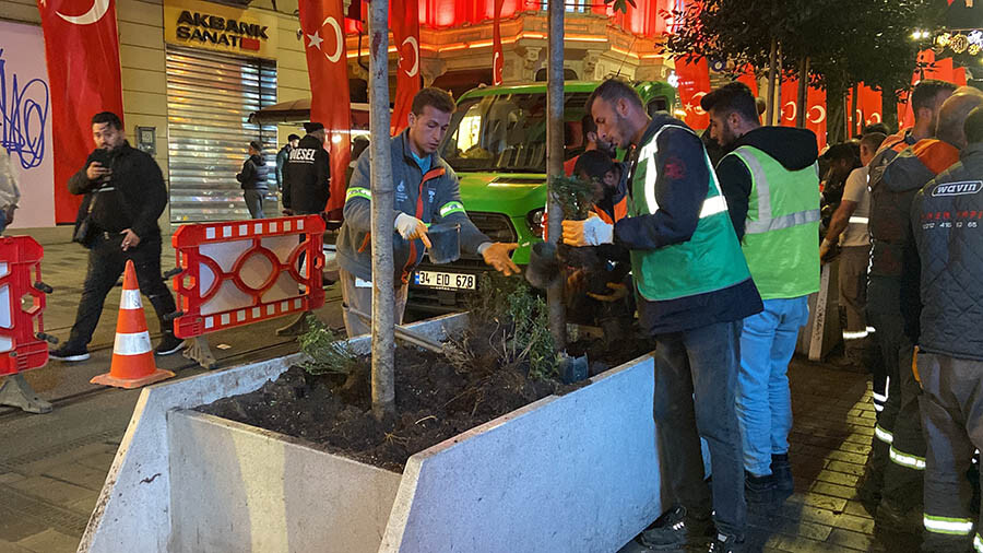 İstiklal Caddesi'nden ağaçlar sökülüyor İstiklal Caddesi'nden ağaçlar sökülüyor