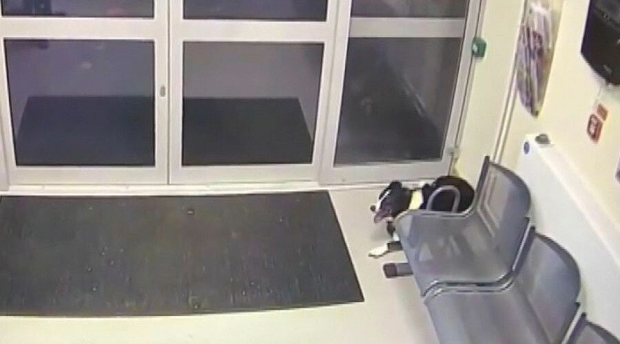 Kaybolan köpek polis karakoluna gitti Kaybolan köpek polis karakoluna gitti