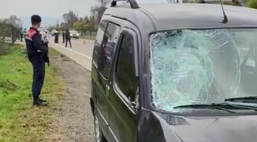 Temizlik işçisi köpeklerden kaçarken canından oldu Temizlik işçisi köpeklerden kaçarken canından oldu