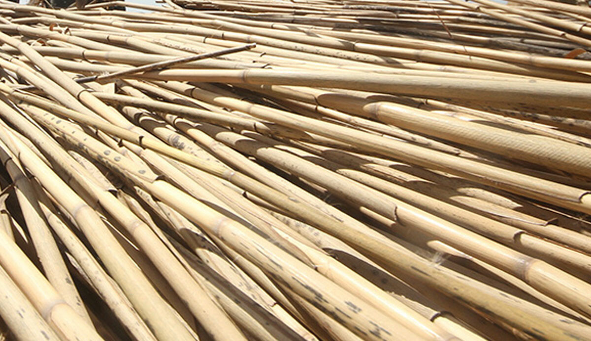 Avrupa'nın çatısı Türkiye'den gidiyor! 5 ay sürüyor ama 1 milyon dolar kazanç sağlıyor