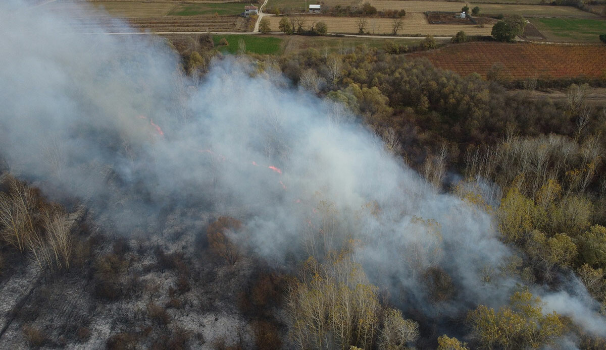 Bursa’da ağaçlık alanda yangın: Alevler yerleşim yerlerine sıçradı!