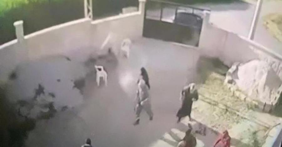 Bir aileyi yok etti! Konya'daki katliamda karar belli oldu