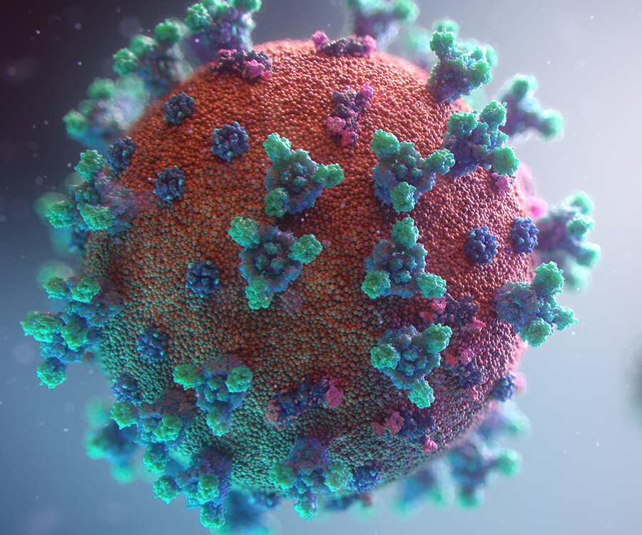 Bilim dünyasından 'yarasa' uyarısı: Bir sonraki pandemi kapımızda bekliyor