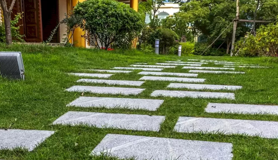 10 saniyeniz var… Görseldeki köpeği bir bakışta görenlerin çok zeki olduğu söyleniyor