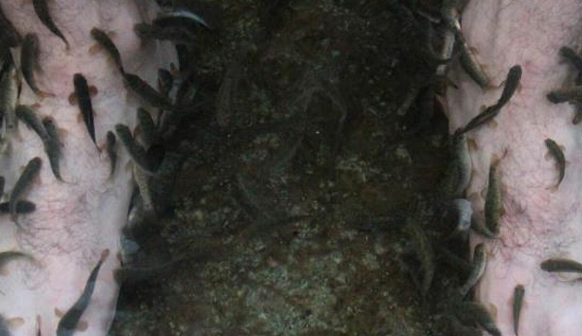 Şifa değil resmen tehlike! Sivas'ta bulunuyor ve dünya çapında çok ünlü! Herkes tedavi için gidiyor ama uzmanlar 'mikrop yuvası' diyor