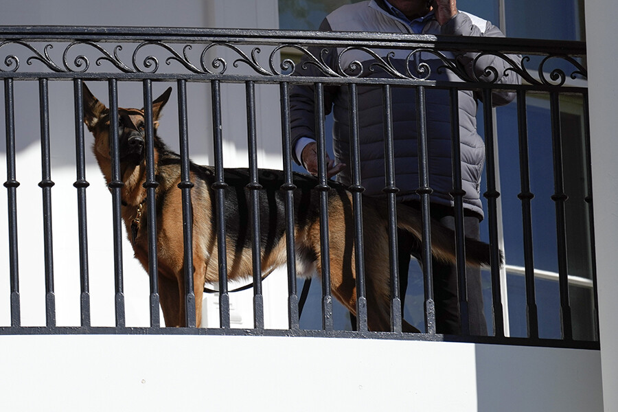 ABD Başkanı Biden, iki hindiyi affetti