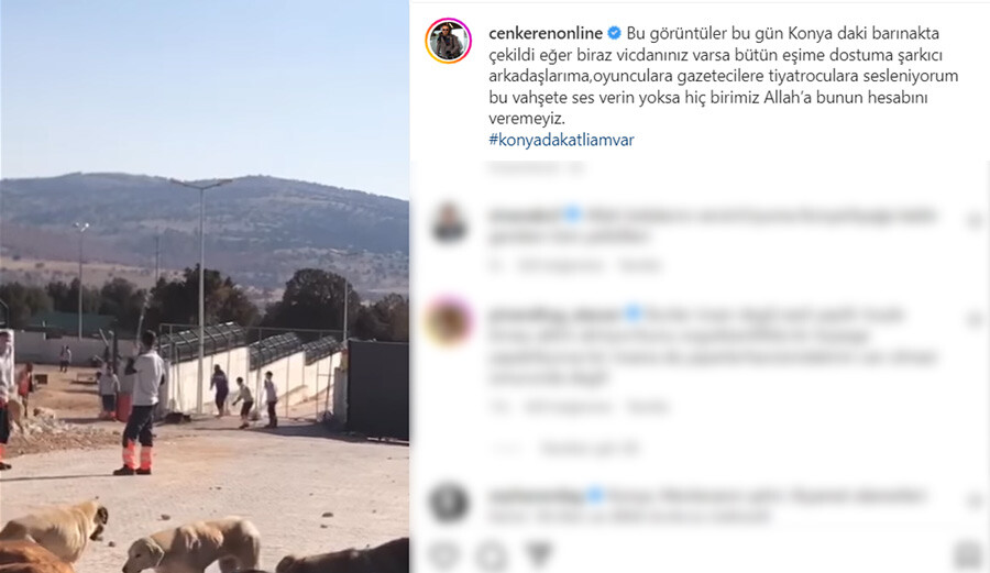 Konya’daki köpek katliamına ünlüler öfke kustu… “Bu vahşetin hesabını hep beraber soralım”