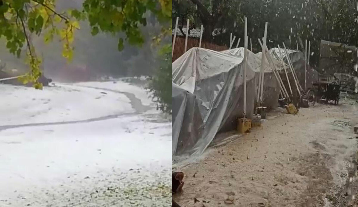 Güneşlenip denize girmek isteyen tatilciler neye uğradığını şaşırdı! Herkes kaçıştı, bir anda her yer bembeyaz oldu