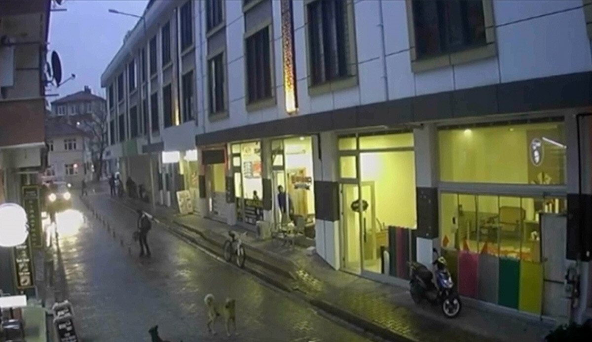 Sahipsiz köpekler okuldan dönen çocuğa saldırdı