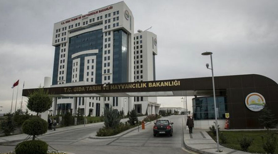 Konya’daki barınak vahşetiyle ilgili Tarım ve Orman Bakanlığı düğmeye bastı: Sağlık taramaları başlatıldı