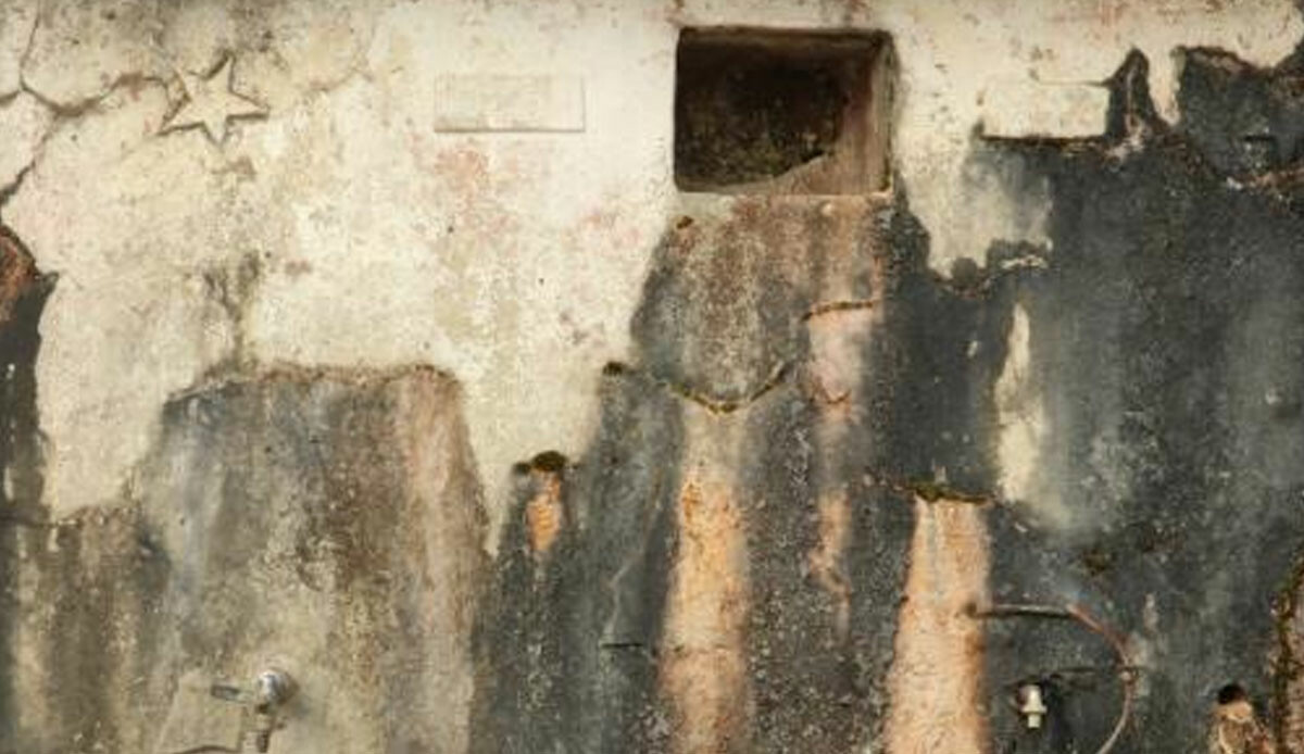 Tarlada tesadüfen bulundu, köydekiler gülüp geçti ama gerçek başka çıktı! 'Bilmiyorduk'