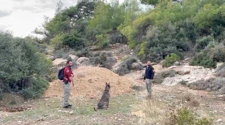 Sedanur 5 gündür kayıp Sedanur 5 gündür kayıp