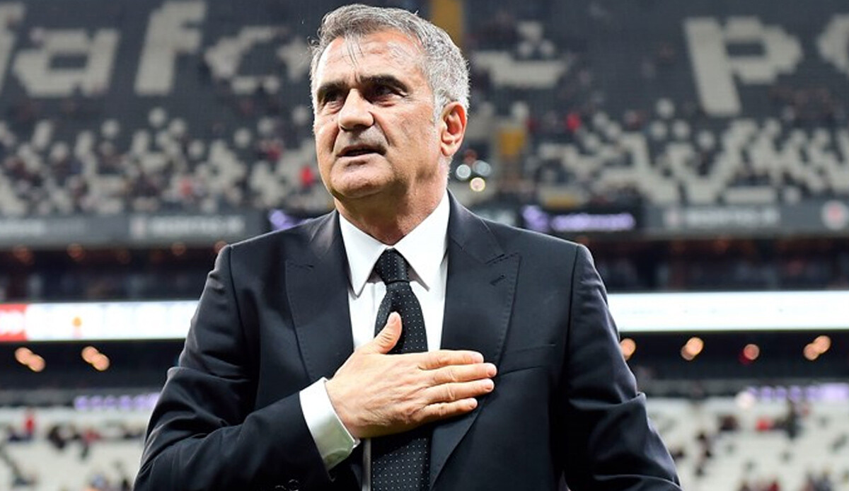 Şenol Güneş: En istekli dönemim
