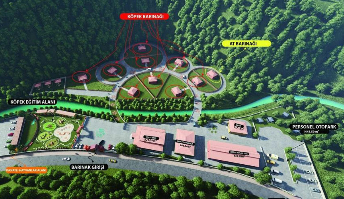 Başıboş hayvan sorunu çözülüyor… Tarım ve Orman Bakanlığı duyurmuştu: Eyüpsultan Belediyesi harekete geçti!