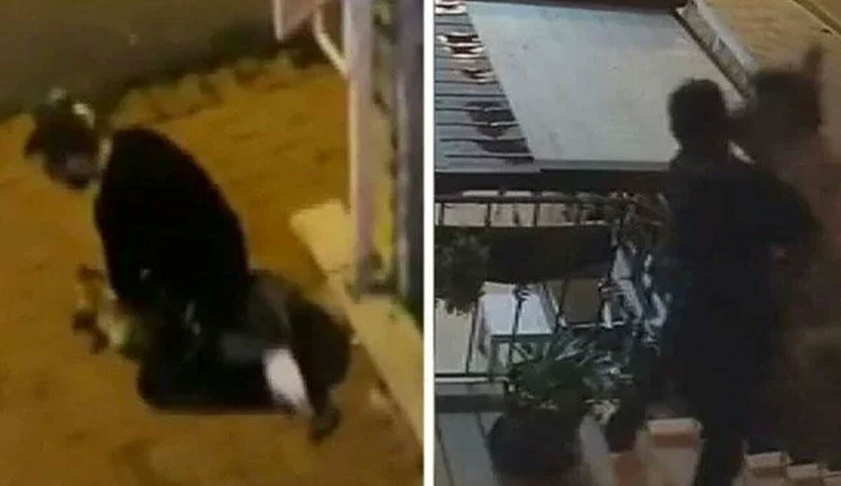 Köpeği boğmaya çalışan saldırganın ifadesi ortaya çıktı: "Hayvanları çok severim" Köpeği boğmaya çalışan saldırganın ifadesi ortaya çıktı: "Hayvanları çok severim"
