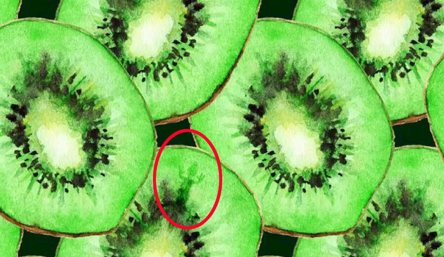 Bu optik illüzyon testinde bir kertenkele var: Sadece keskin gözlere sahip olanlar 5 saniye içinde buluyor Bu optik illüzyon testinde bir kertenkele var: Sadece keskin gözlere sahip olanlar 5 saniye içinde buluyor