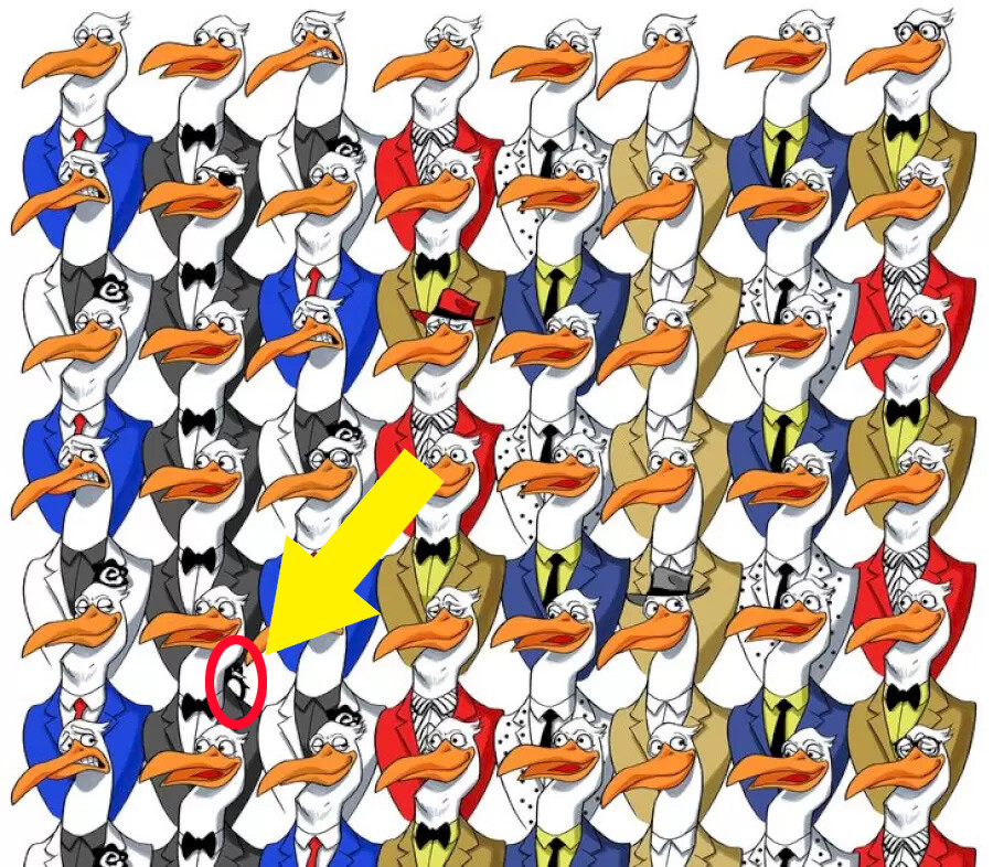 Çıldırtan dikkat testi: Bakan bir daha bakıyor, cevabı çok az kişi buluyor! Leyleklerin arasındaki penguen nerede?