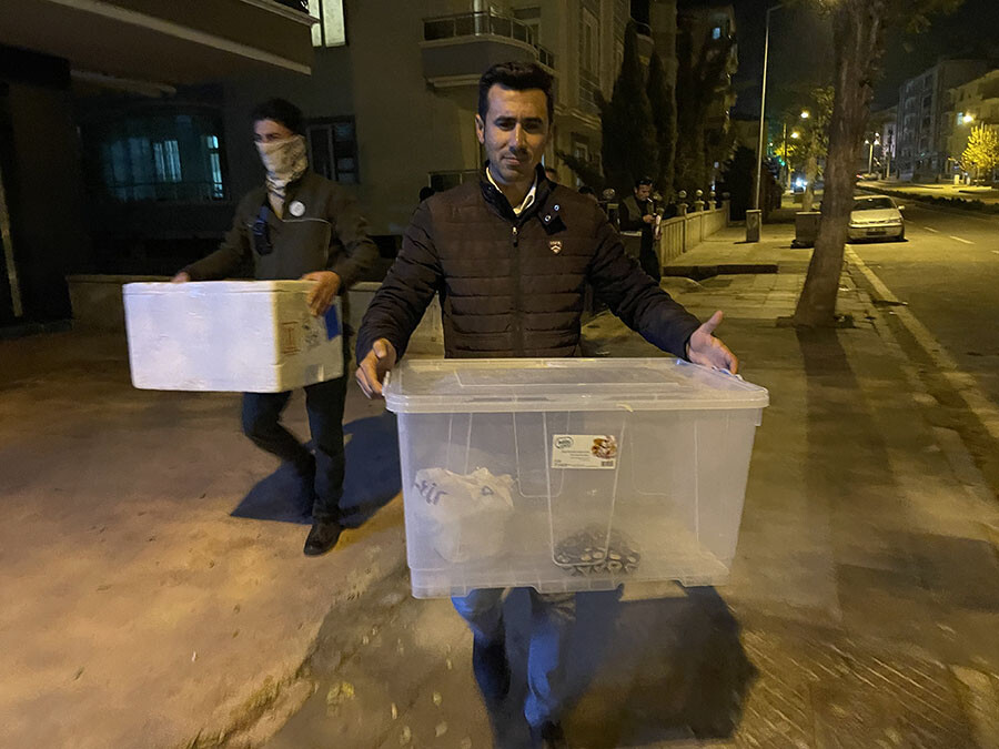 Aksaray'da bir evden çıkanlar 'pes' dedirtti! Kraliyet pitonu, sakallı ejder, kaplumbağa... Aksaray'da bir evden çıkanlar 'pes' dedirtti! Kraliyet pitonu, sakallı ejder, kaplumbağa...