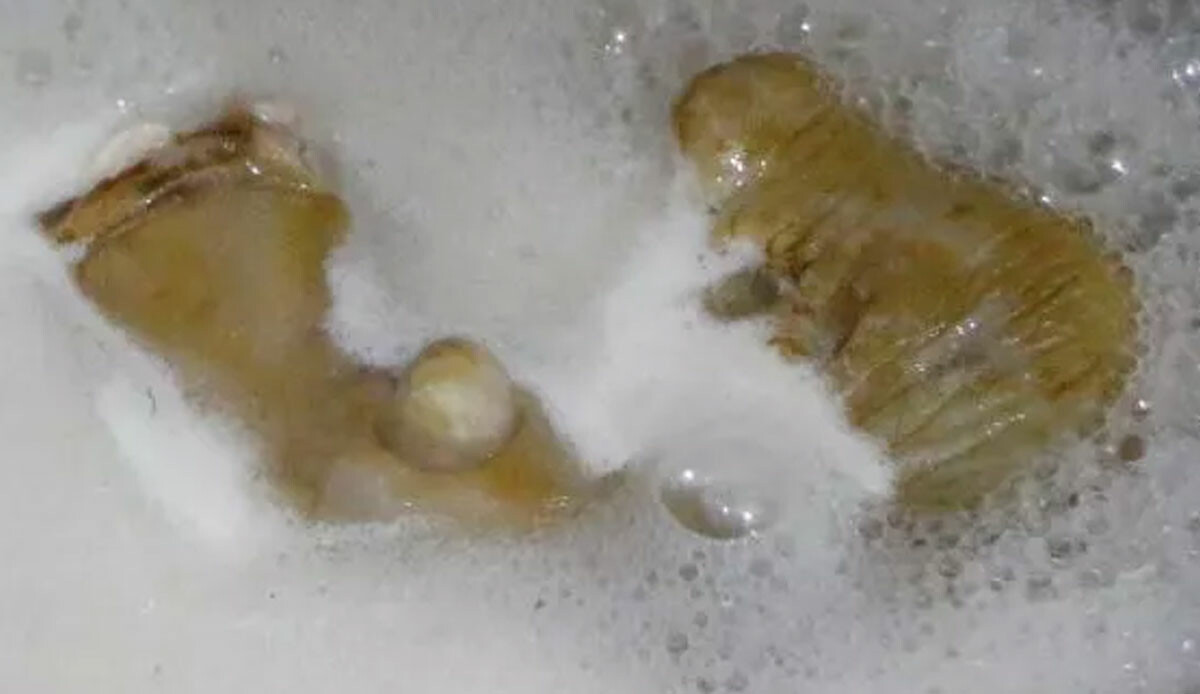 Tam 14 saatte hazırlanıyor! Zahmetli ama vücut için adeta ilaç gibi... Bir kasesi antibiyotik kadar etkili