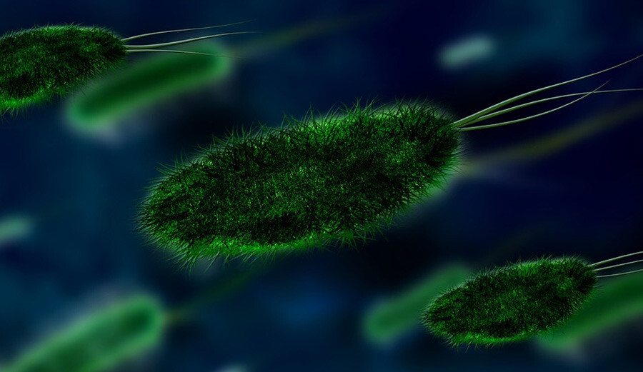 Dünya diken üstünde! İngiltere’de yeni kabus: Strep A! 6 çocuk hayatını kaybetti