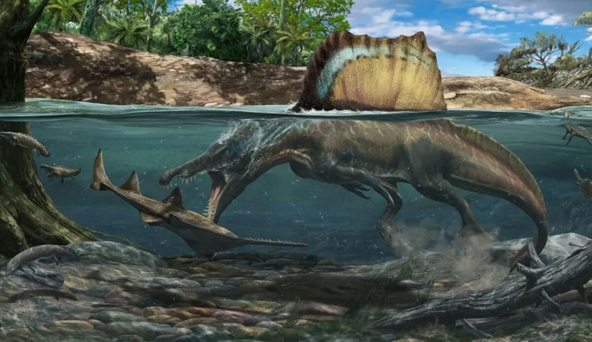 Dinozorlar dünyasında gerçek çok başka çıktı! Bilim insanları şimdiye kadar Spinosaurus&#039;u yanlış biliyormuş