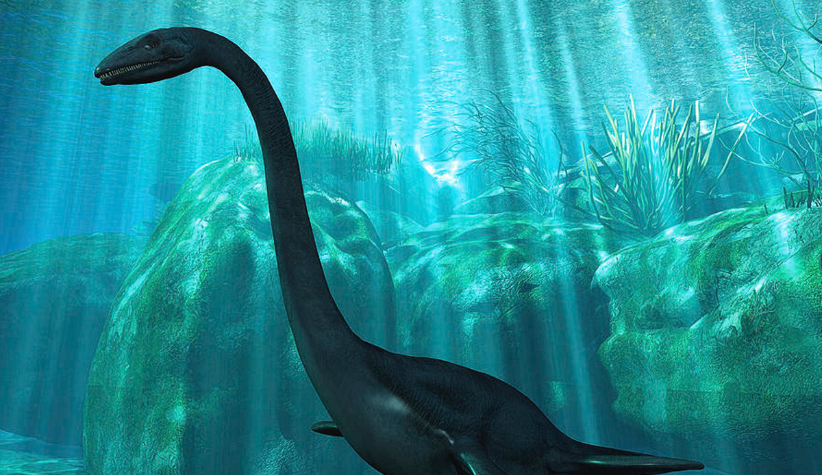 Bilim insanları gördükleri karşısında donup kaldı! Tam 100 milyon yıl öncesine ait elasmosaurus iskeleti bulundu Bilim insanları gördükleri karşısında donup kaldı! Tam 100 milyon yıl öncesine ait elasmosaurus iskeleti bulundu