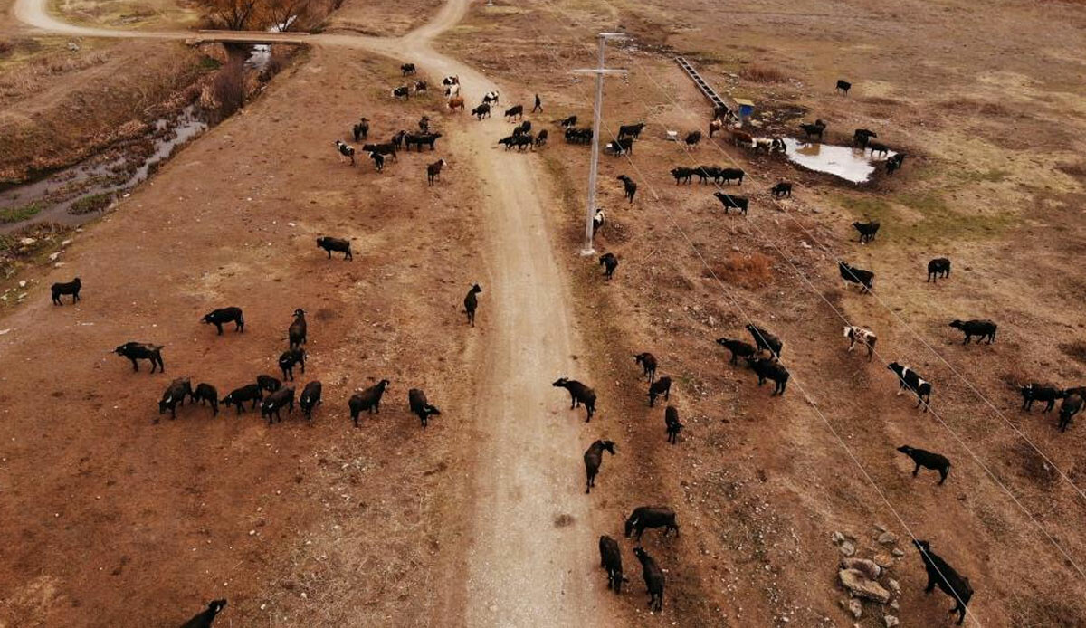 Taleplere yetişemiyorlar… Cumhurbaşkanı Erdoğan açıkladı, üretimde patlama yaşandı!
