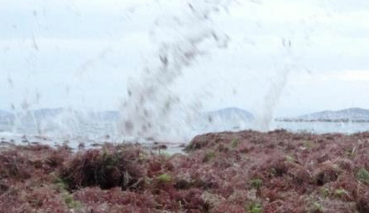 İstanbul'da lodos sonrası ilginç görüntüler! Tüm sahili kapladı, gören şaşıp kalıyor
