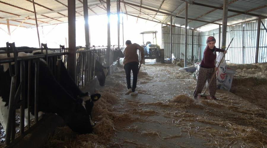 Buldan şebekesi Türkiye’nin kabusu oldu: “Tanımadığı kişilere 68 bin dolar borcum var”