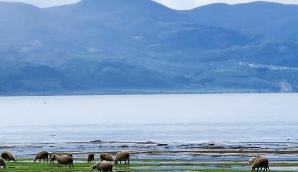 İznik Gölü'nde korkutan görüntü! Artık bambaşka bir yer