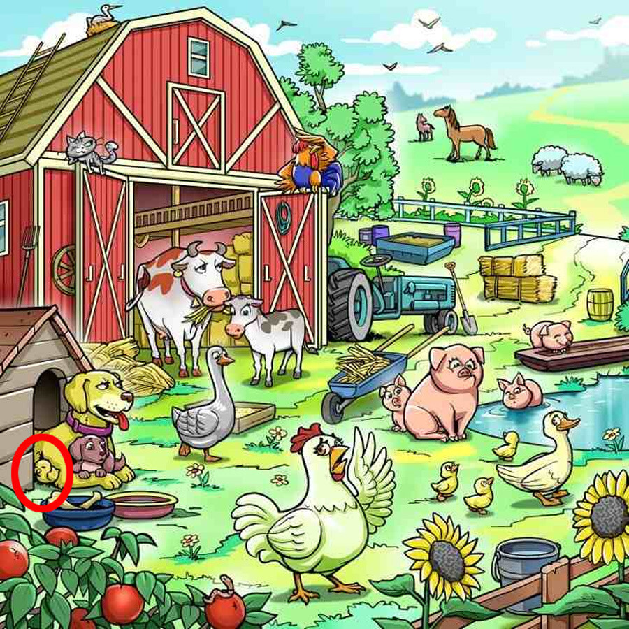 Akıl sınırlarını zorlayan IQ testi: Çiftlikteki kayıp civciv nerede?