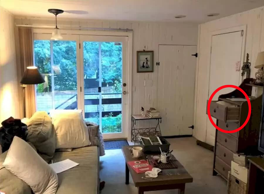 Yalnızca dahilerin çözdüğü IQ testi: Görselde saklanan kedi nerede?