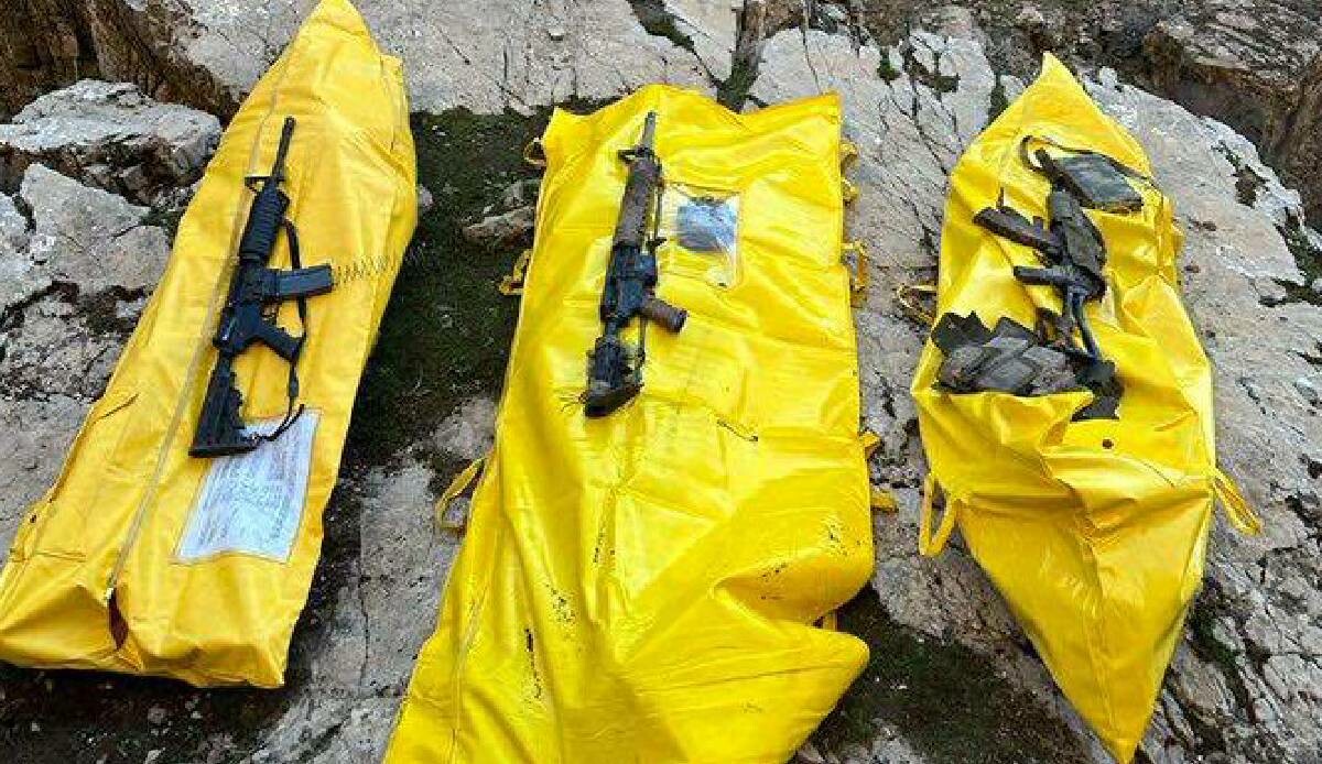 Şırnak'ta biri sözde bölge sorumlusu olmak üzere 3 terörist etkisiz hale getirildi Şırnak'ta biri sözde bölge sorumlusu olmak üzere 3 terörist etkisiz hale getirildi