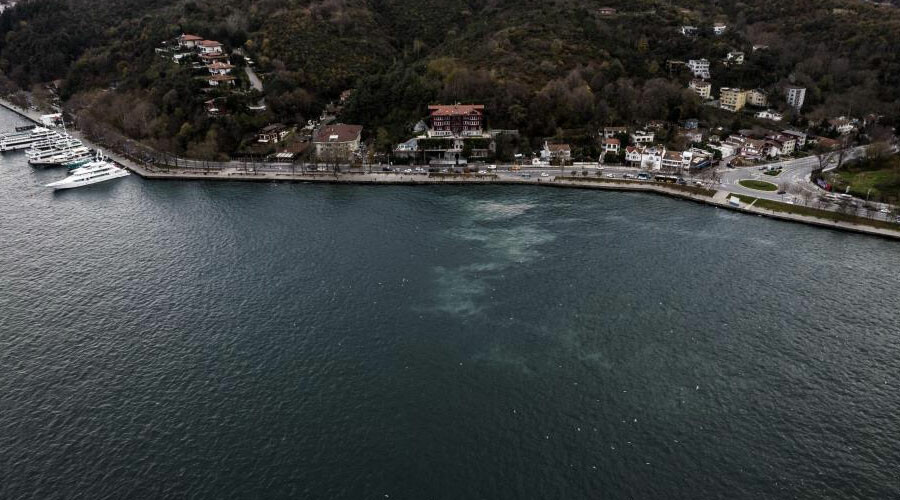 İstanbul'da korkutan görüntü: Deniz yüzeyini kapladı İstanbul'da korkutan görüntü: Deniz yüzeyini kapladı